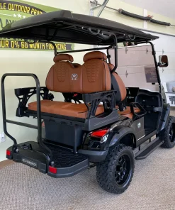4 seater electric golf cart Defiance Ohio scaled