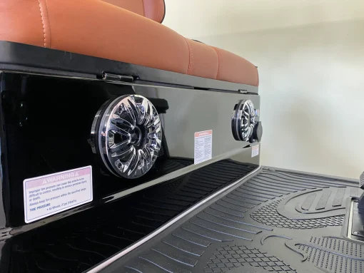 4 seater electric golf cart Indianapolis Indiana scaled