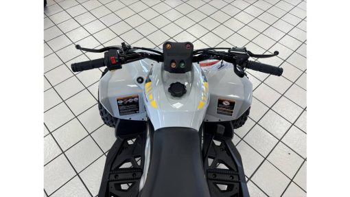 C8066 (4)