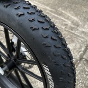 ebike sales near me Marion Ohio scaled