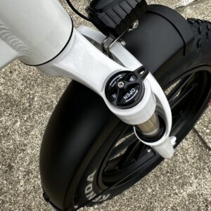 ebike sales near me Mentor Ohio scaled