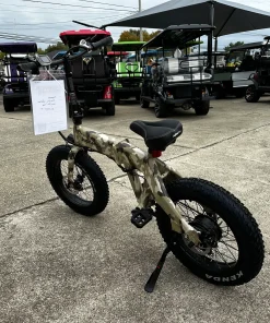 folding ebike Cleveland ohio scaled