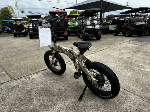 folding ebike Cleveland ohio scaled