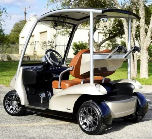 2011 Garia 2 Passenger for Sale (5)