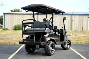 2025 Denago EV Nomad XL Black for Sale24 (3)