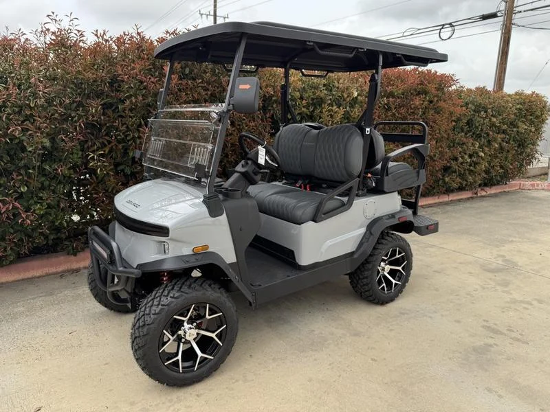 2025 Denago EV Nomad XL Gray for Sale (1)
