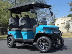 2025 Denago EV Rover XL Aqua Blue for Sale (6)