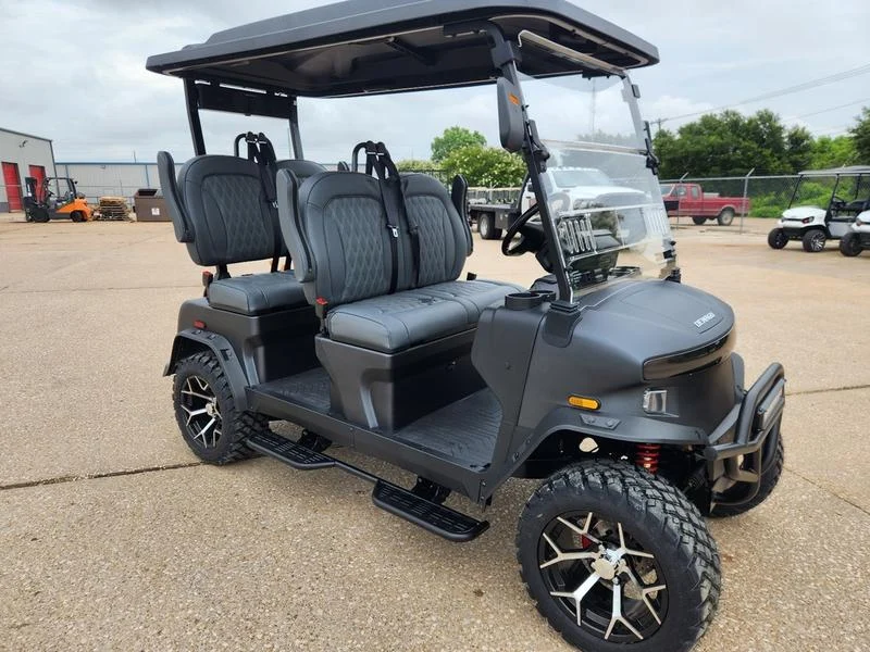 2025 Denago EV Rover XL Black for Sale (1)