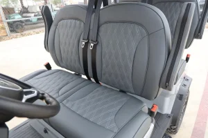 2025 Denago EV Rover XL Grey for Sale11 (4)