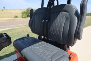 2025 Denago EV Rover XL Lava for Sale (8)