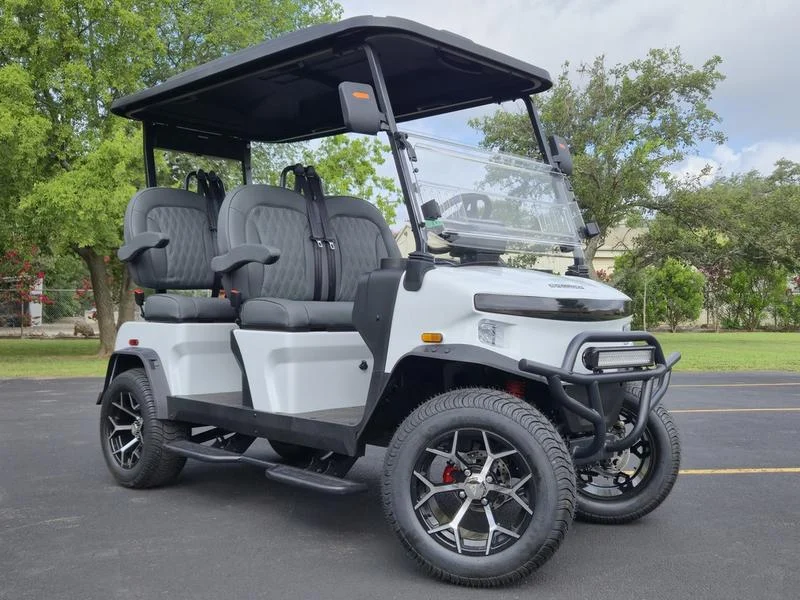 2025 Denago EV Rover XL White for Sale (1)