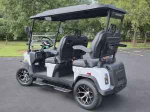 2025 Denago EV Rover XL White for Sale (3)