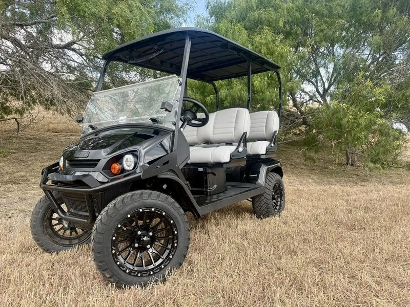 2025 E Z GO Black Liberty ELiTE for Sale (1)