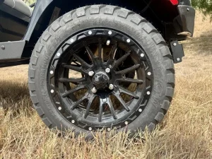 2025 E Z GO Black Liberty ELiTE for Sale (9)